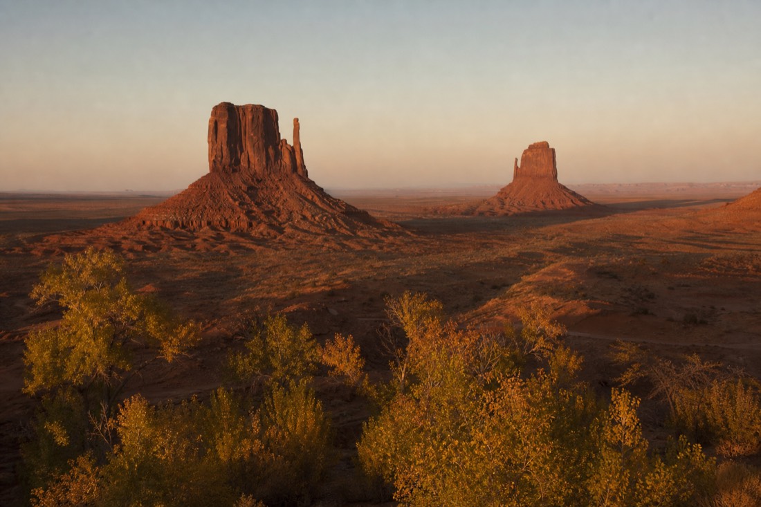 Cottonwood and desert grass turning gold in October with long afternoon shadows stretching from the buttes across empty sand