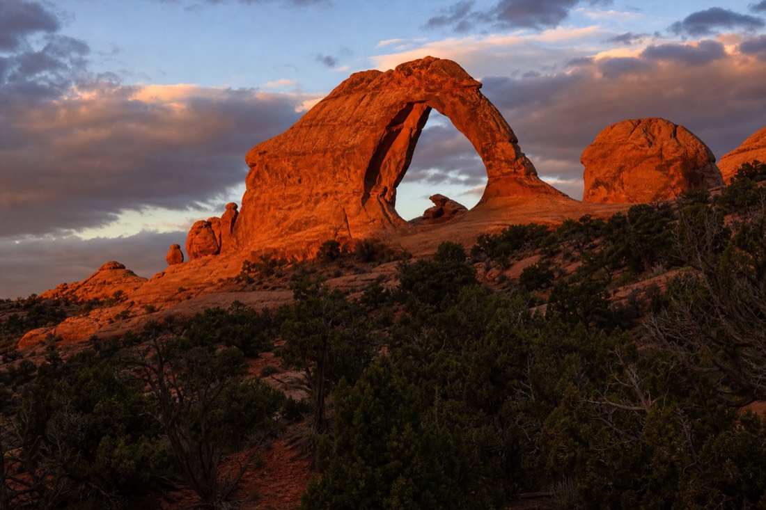 A freestanding sandstone arch glowing orange at sunset above a slope of dark junipers and red rock