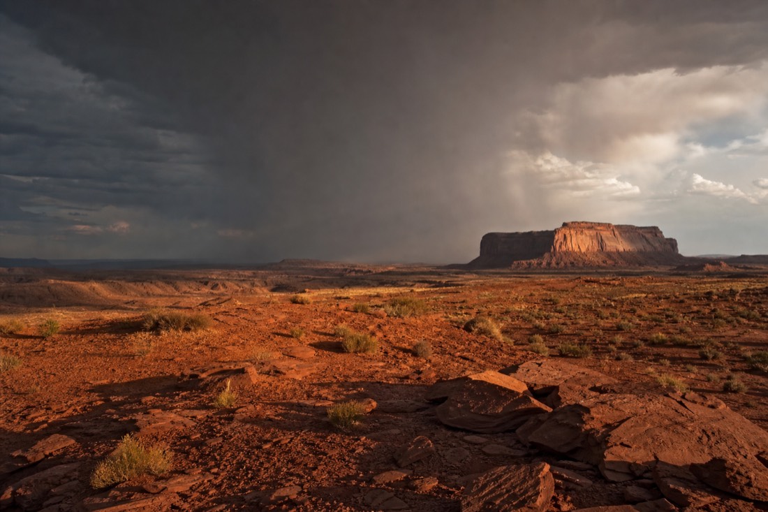 A dark curtain of monsoon rain sweeping past a distant butte with sunlit red sand in the foreground